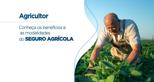 Conheça os benefícios e as modalidades do SEGURO AGRÍCOLA